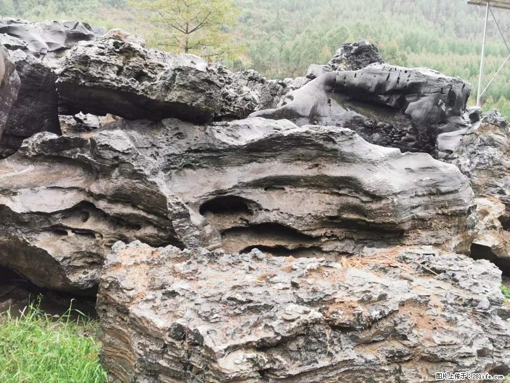 风景石、假山石大量有货，有需要的欢迎联系 - 新手上路 - 通化生活社区 - 通化28生活网 th.28life.net