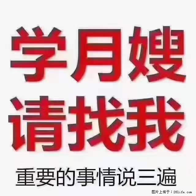 为什么要学习月嫂，育婴师？ - 其他广告 - 广告专区 - 通化分类信息 - 通化28生活网 th.28life.net