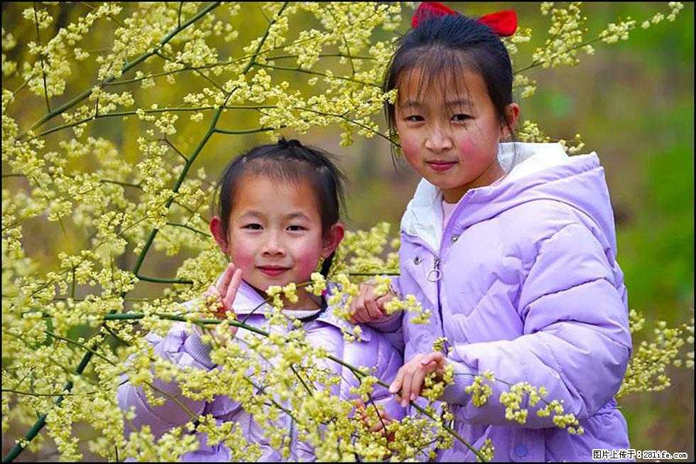 【春天，广西桂林灌阳县向您发出邀请！】米珠山前有片山苍子花在飘香 - 游山玩水 - 通化生活社区 - 通化28生活网 th.28life.net