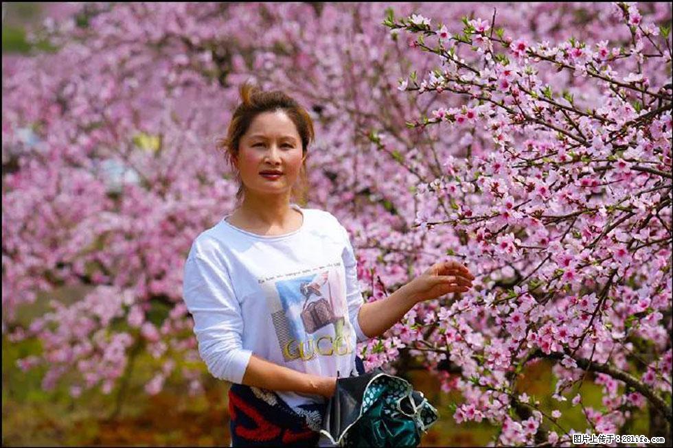 【春天，广西桂林灌阳县向您发出邀请！】官庄村有个醉美的桃花园 - 游山玩水 - 通化生活社区 - 通化28生活网 th.28life.net