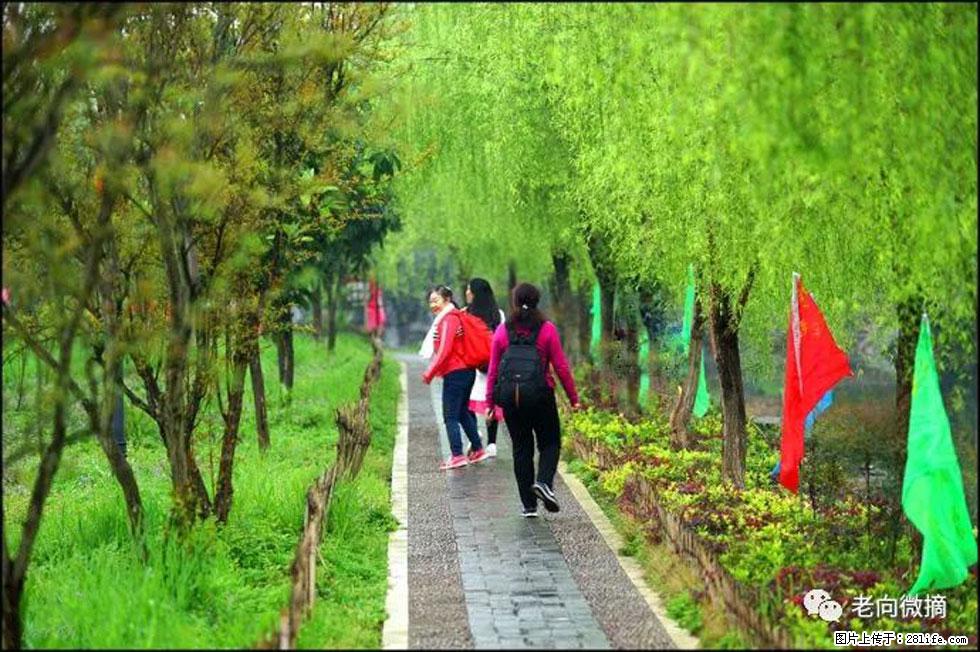 【春天，广西桂林灌阳县向您发出邀请！】江口老街又逢春 - 游山玩水 - 通化生活社区 - 通化28生活网 th.28life.net