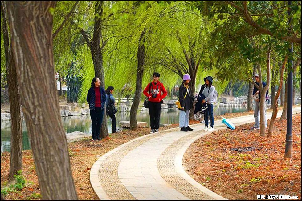 【春天，广西桂林灌阳县向您发出邀请！】江口老街又逢春 - 游山玩水 - 通化生活社区 - 通化28生活网 th.28life.net