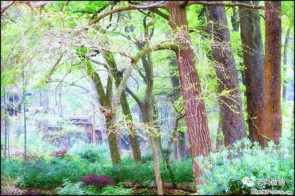 【春天，广西桂林灌阳县向您发出邀请！】在小龙村与春天约会 - 游山玩水 - 通化生活社区 - 通化28生活网 th.28life.net