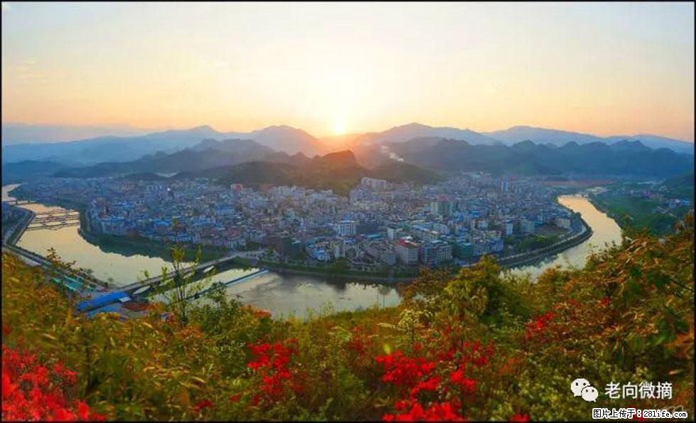 【春天，广西桂林灌阳县向您发出邀请！】登麒麟山，相约映山红 - 游山玩水 - 通化生活社区 - 通化28生活网 th.28life.net