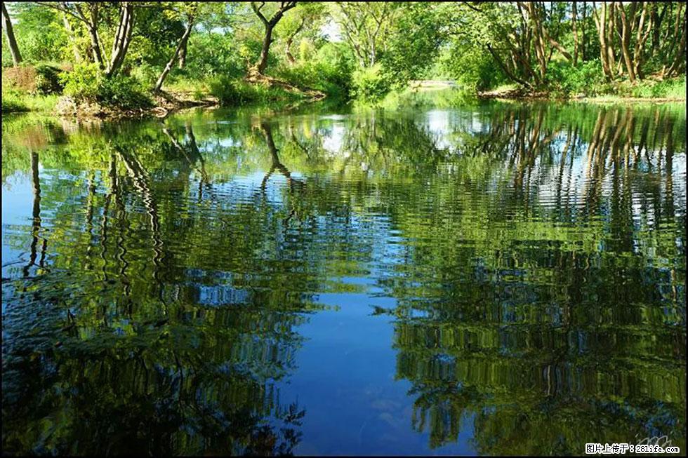 【春天，广西桂林灌阳县向您发出邀请！】熊家寨湿地公园 - 游山玩水 - 通化生活社区 - 通化28生活网 th.28life.net