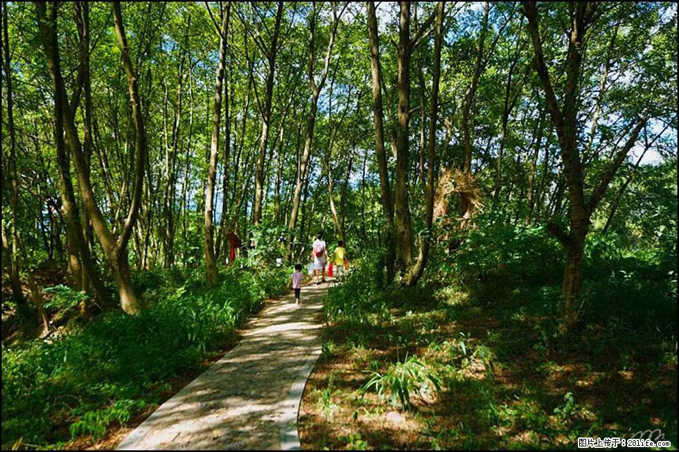 【春天，广西桂林灌阳县向您发出邀请！】熊家寨湿地公园 - 游山玩水 - 通化生活社区 - 通化28生活网 th.28life.net