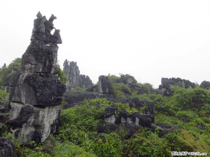 桂林旅游名城景点:灌阳文市石林 - 游山玩水 - 通化生活社区 - 通化28生活网 th.28life.net