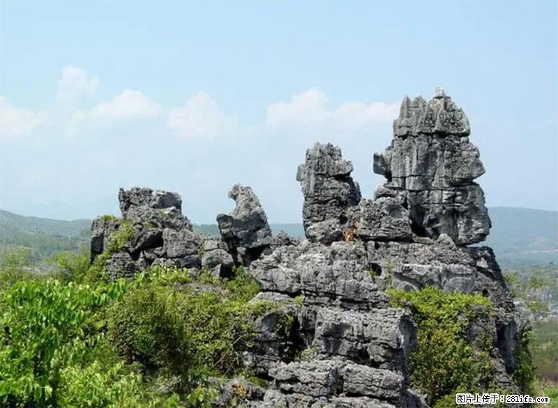桂林旅游名城景点:灌阳文市石林 - 游山玩水 - 通化生活社区 - 通化28生活网 th.28life.net