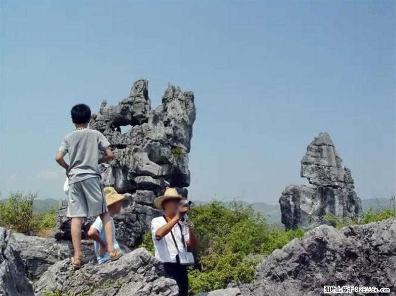 桂林旅游名城景点:灌阳文市石林 - 游山玩水 - 通化生活社区 - 通化28生活网 th.28life.net