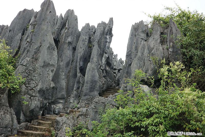 桂林旅游名城景点:灌阳文市石林 - 游山玩水 - 通化生活社区 - 通化28生活网 th.28life.net