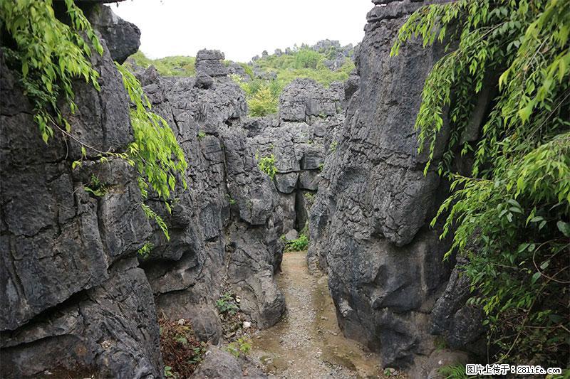 桂林旅游名城景点:灌阳文市石林 - 游山玩水 - 通化生活社区 - 通化28生活网 th.28life.net