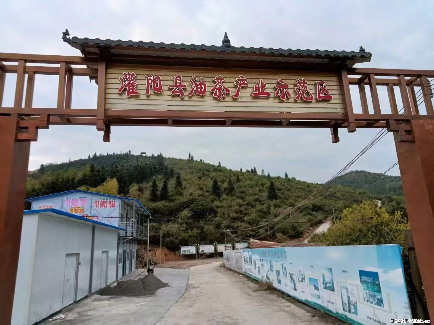 【灌阳县油茶产业示范区】一个有着充实的精神生活的人，对待身外之物自会有一种淡泊的态度 - 土特产 - 饮食特产 - 通化分类信息 - 通化28生活网 th.28life.net