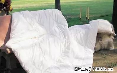 被子有异味？只要这样做，比晒太阳还强100倍！ - 家居生活 - 通化生活社区 - 通化28生活网 th.28life.net
