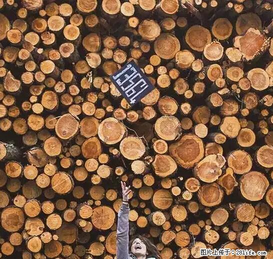 辞掉工作周游世界？现在他们在洗厕所…… - 游山玩水 - 通化生活社区 - 通化28生活网 th.28life.net