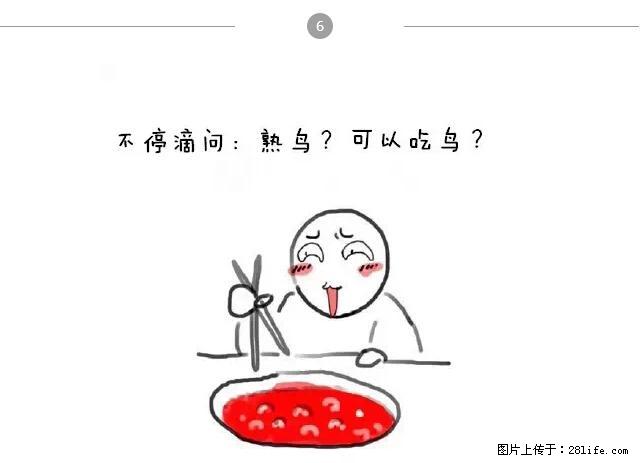千万不要和这9种哈卵一起吃火锅！ - 美食天地 - 通化生活社区 - 通化28生活网 th.28life.net