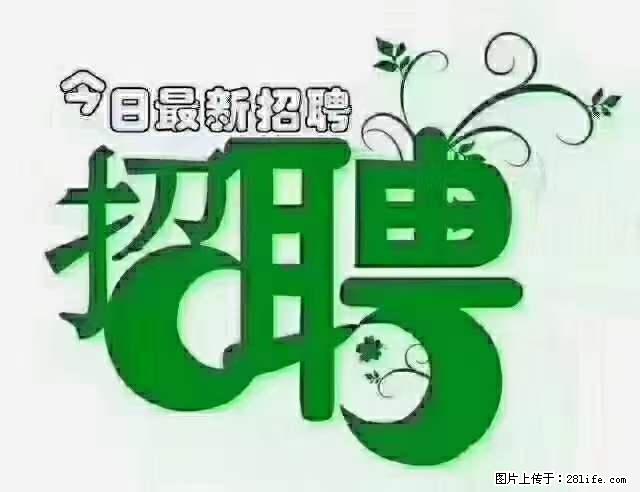 上海青浦区招仓管 - 职场交流 - 通化生活社区 - 通化28生活网 th.28life.net