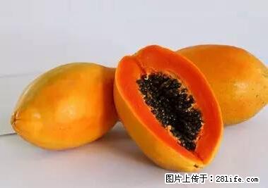 晕车、脚气、牙齿变黄、皮肤粗糙？学会这些三分钟搞定！ - 通化生活资讯 - 通化28生活网 th.28life.net