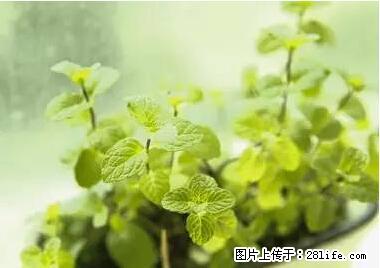 晕车、脚气、牙齿变黄、皮肤粗糙？学会这些三分钟搞定！ - 通化生活资讯 - 通化28生活网 th.28life.net