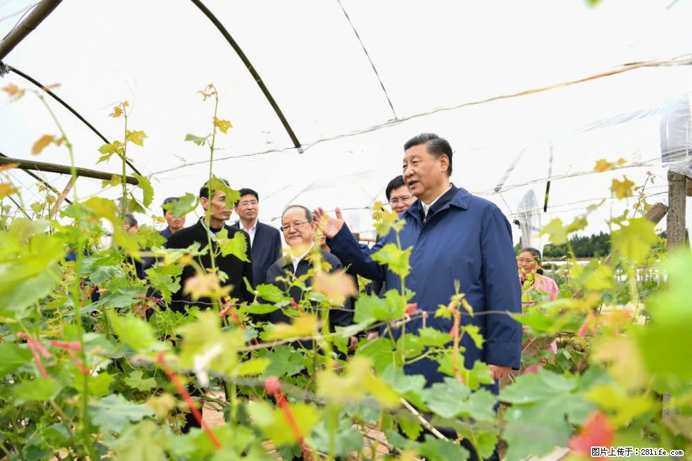 习近平赴广西考察调研 - 通化生活资讯 - 通化28生活网 th.28life.net