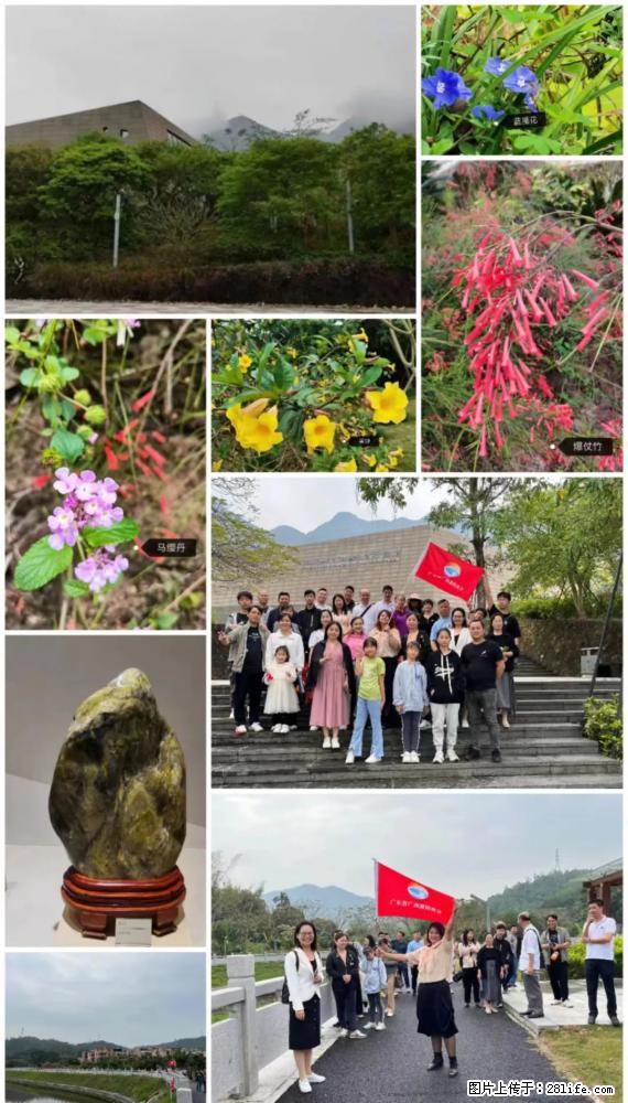 “粤灌文化 美好生活”油茶文化主题活动在广东深圳成功举办 - 通化生活资讯 - 通化28生活网 th.28life.net