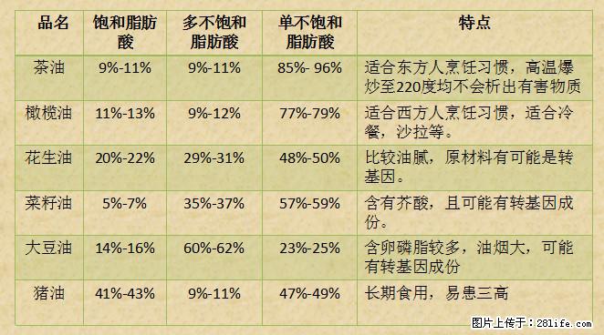 揭秘茶油的5大核心营养成分！被称为人体健康的“守护盾”！ - 通化生活资讯 - 通化28生活网 th.28life.net