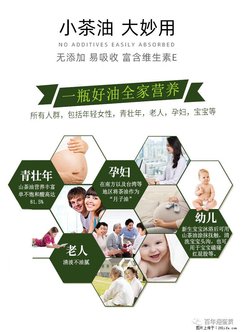 世界没有真相，只有认知，最好的食用油是中国的山茶油！ - 通化生活资讯 - 通化28生活网 th.28life.net