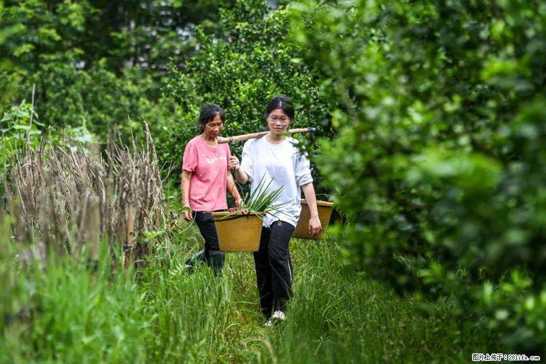 全网追的“扁担女孩”，找了一份暑假工，时薪12元 - 通化生活资讯 - 通化28生活网 th.28life.net