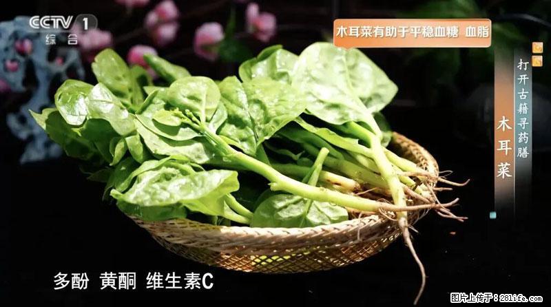 比牛奶补钙还厉害！凉血解毒、稳血糖...这菜冬天必吃，很多人却当草 - 通化生活资讯 - 通化28生活网 th.28life.net