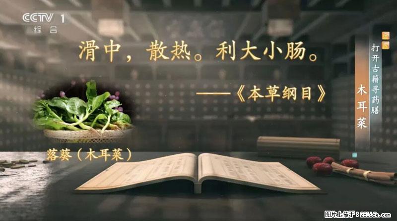 比牛奶补钙还厉害！凉血解毒、稳血糖...这菜冬天必吃，很多人却当草 - 通化生活资讯 - 通化28生活网 th.28life.net