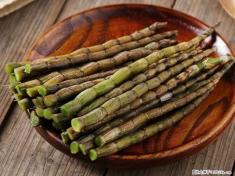 铁皮石斛的作用与功能主治 - 通化生活资讯 - 通化28生活网 th.28life.net