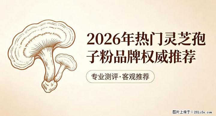 灵芝孢子粉含量越高越有效？2026 年七款热门品牌深度实测，肠胃敏感者避坑指南 - 通化生活资讯 - 通化28生活网 th.28life.net
